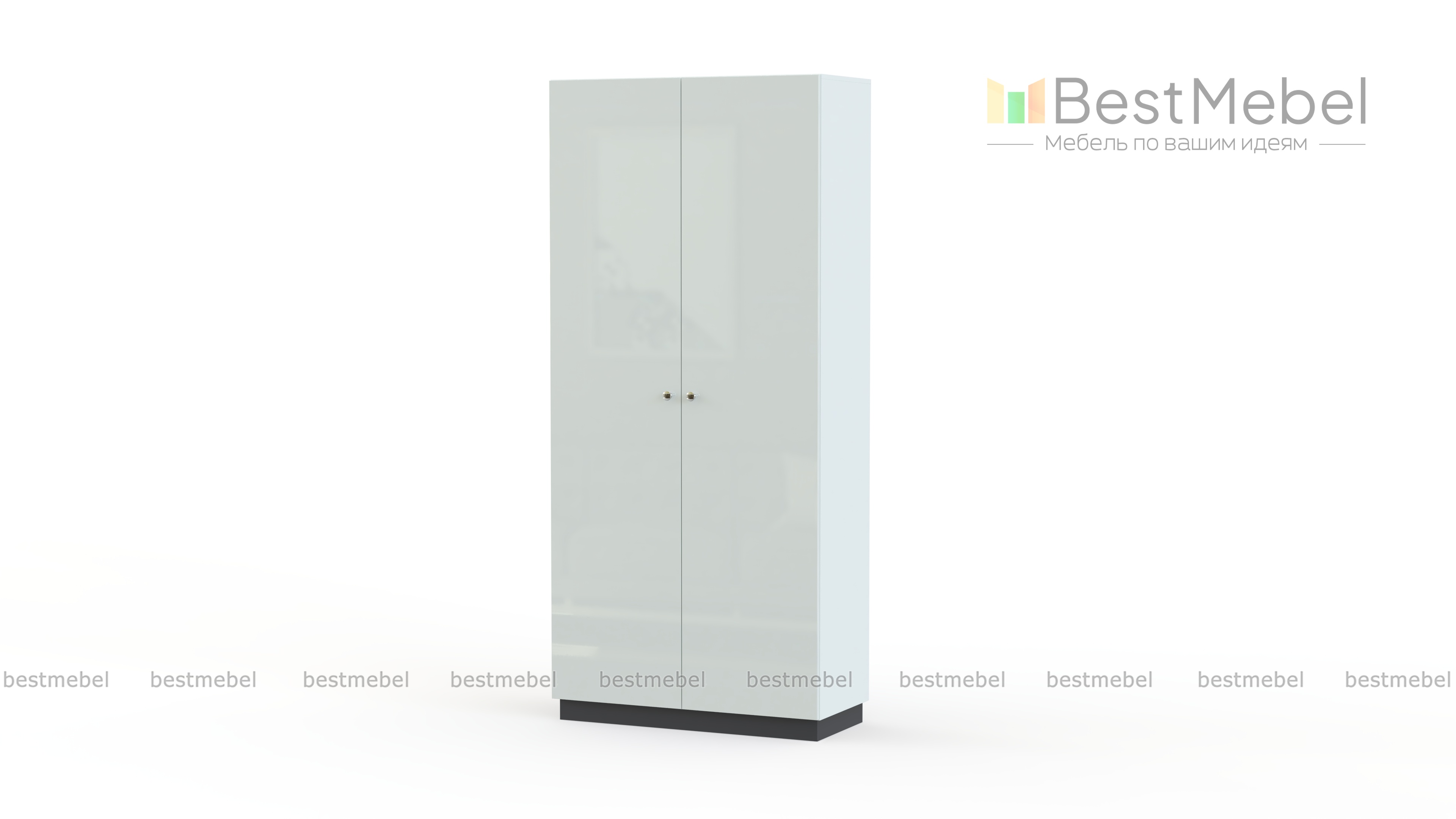 Шкаф распашной Класс 2 BMS